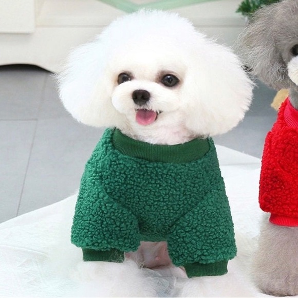 Dog Christmas Sweater - Rudolph the Red Nosed Reindeer. Size S - Picture 3 of 3